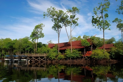 Semporna: Proboscis Monkey & Firefly Cruise with Dinner