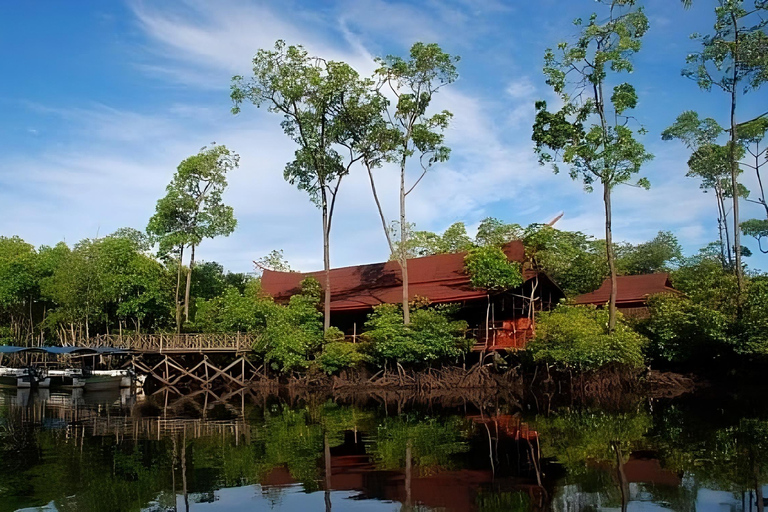 Semporna: Proboscis Monkey & Firefly Cruise with Dinner