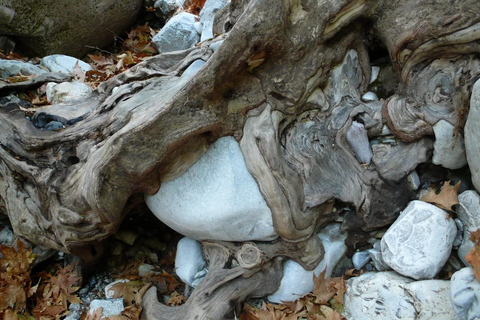 Kardamili : Wandern in der Ridomo-Schlucht