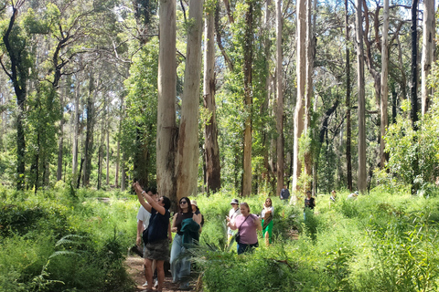 From Perth: Margaret River Premium Wine & Nature Escape