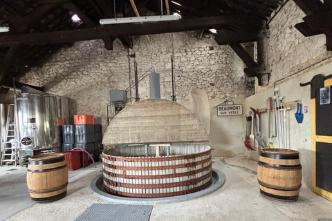 Champagne Day Tour Tours, tastings, and lunch included Champagne Tour Day Tours Tastings Lunch included