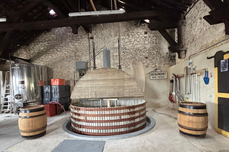 Champagne Day Tour Tours, tastings, and lunch included Champagne Tour Day Tours Tastings Lunch included