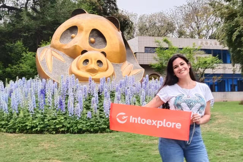 2-Day Chengdu & Mount Qingcheng Heritage Tour