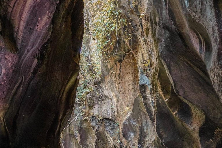Ubud: Hidden Canyon Beji Guwang Guided Tour Small Group Tour (Meeting Point at Ubud Palace)