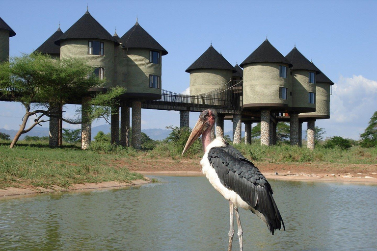 Safari med övernattning till Saltlick Safari Lodge från Mombasa/Diani