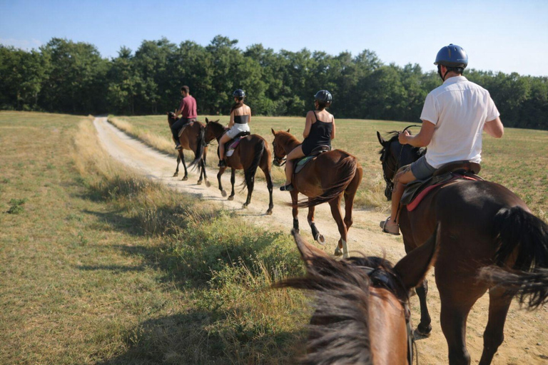 Tuscany Horseback Ride, Lunch, & Wine - Small Group From San Gimignano