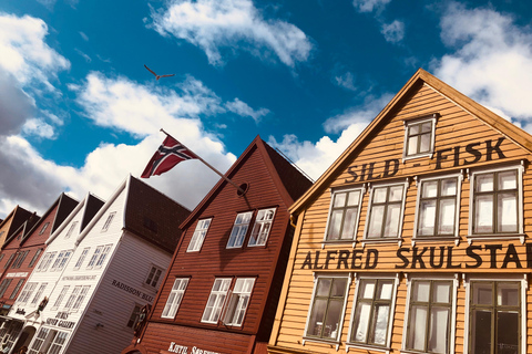 Bergen: Private Shore Excursion, Best of Bergen