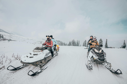 Riga: Snowmobile Ride & Black Balsam Tasting Riga: 2 Hour Snowmobile Ride & Black Balsam Tasting
