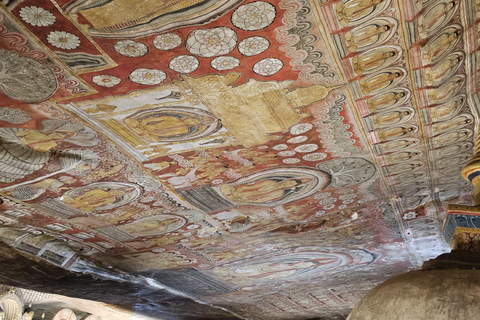 Vanuit Kandy: Dagtrip Sigiriya en Dambulla