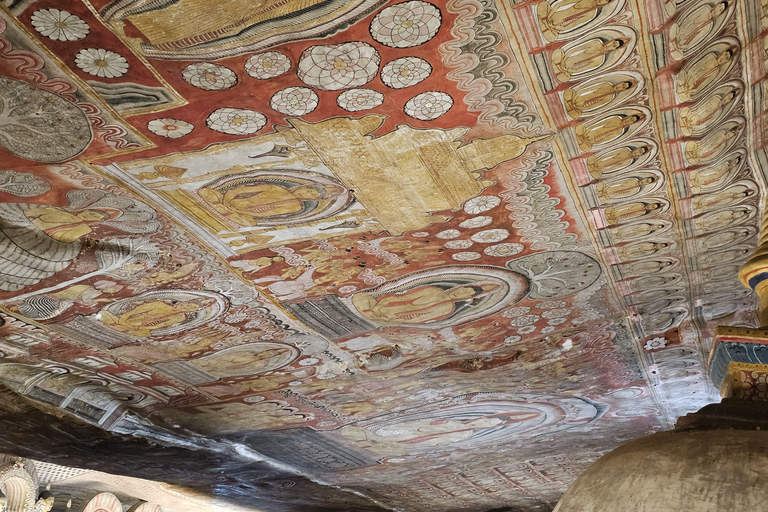 Vanuit Kandy: Dagtrip Sigiriya en Dambulla