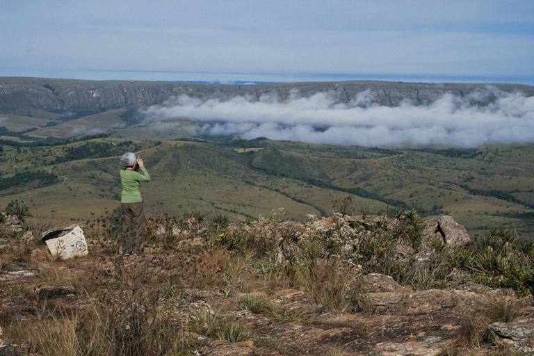 From São Paulo: 5-Day Serra da Canastra Wildlife Safari