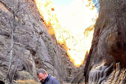 Las Vegas: Zion National Park Group Tour with Lunch