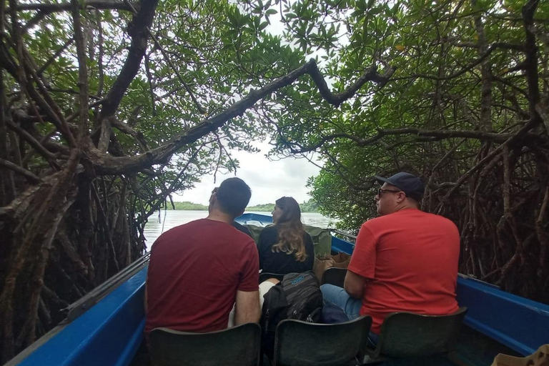 Mirissa: Bentota Day Trip with Cinnamon & Mask Workshop
