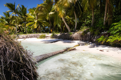 Saona Island Privat: Speedboat Tour von Punta CanaPrivate Tour zur Insel Saona mit Mano Juan per Schnellboot