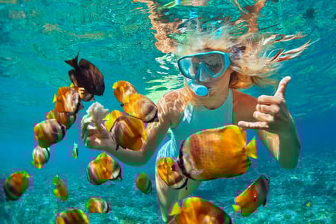Guided Sunset & Snorkelling Experience Flamingo Cost Rica