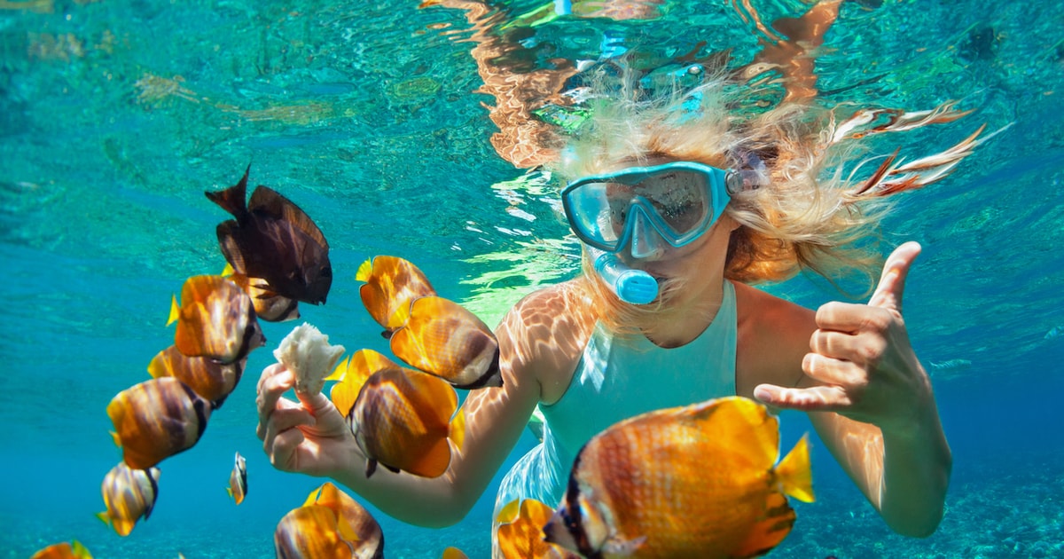 flamingo boat to snorkel