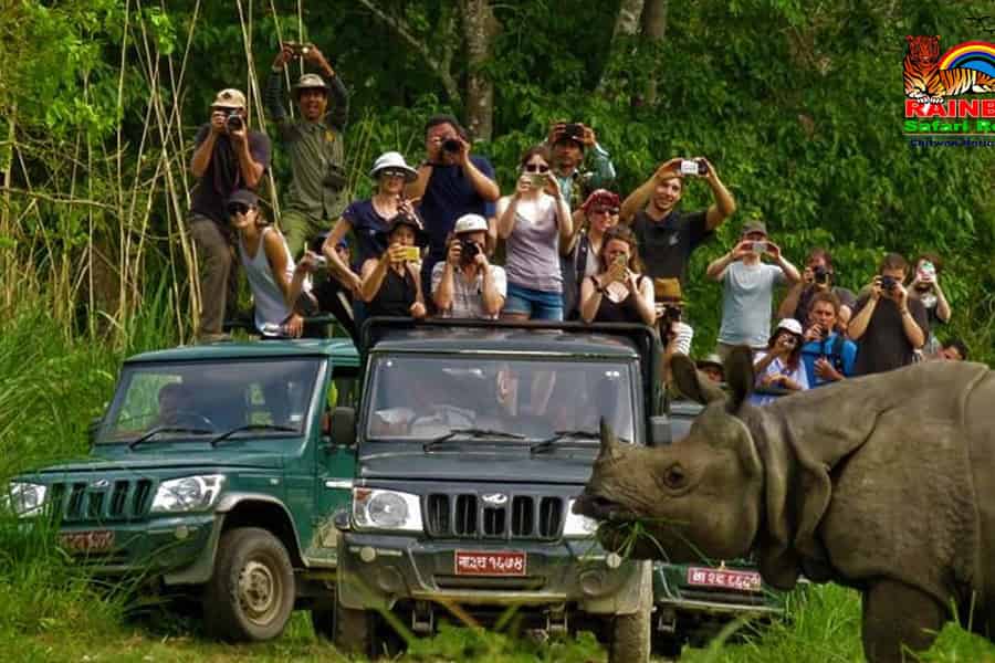 Kathmandu oder Pokhara: 2 N / 3 Tage Chitwan Dschungel Safari Tour. Foto: GetYourGuide