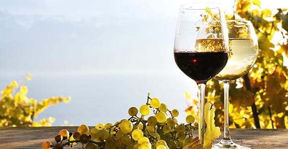 Madeira: Vineyard Tour w/ Wine Tasting & Skywalk
