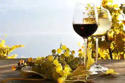 Madeira - Visita a viñedos Degustación de vinos - Incluido