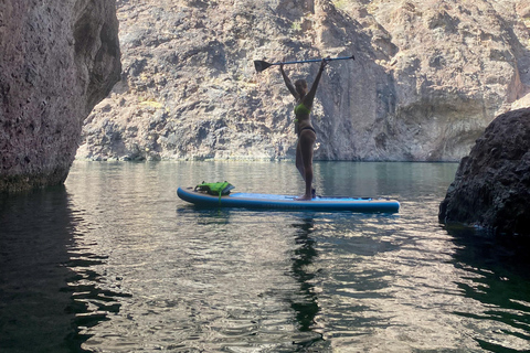 Plage de Willow : Location de paddle board