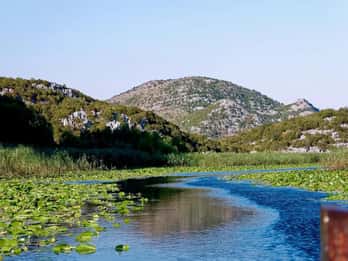 Vanuit Herceg Novi: privétour naar het Skadarmeer