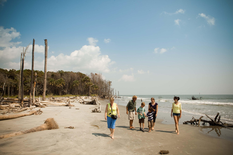 Charleston: Capers Island Wildlife Eco Tour with Guide