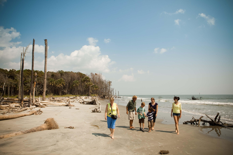 Charleston: Capers Island Wildlife Eco Tour with Guide