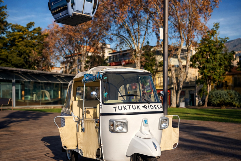 Funchal: Banana Route and Angels' Waterfall Tuk-Tuk Tour
