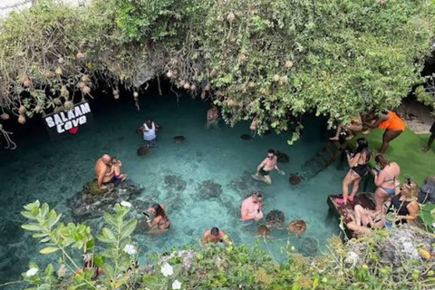 Zanzibar: Jozani & Salaam Monkeys, Mangroves & Secret Beach