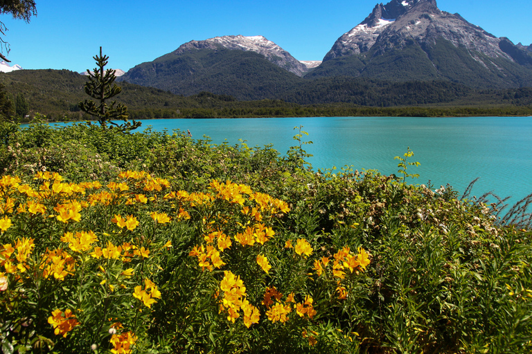 Bariloche: Discover Mount Tronador and the Alerces Waterfall