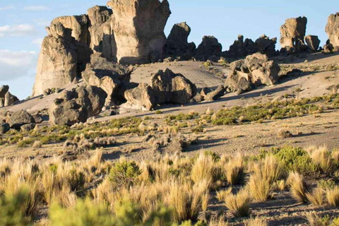 Arequipa: Cascatas de Pillones e Bosque de Pedras | Dia inteiro