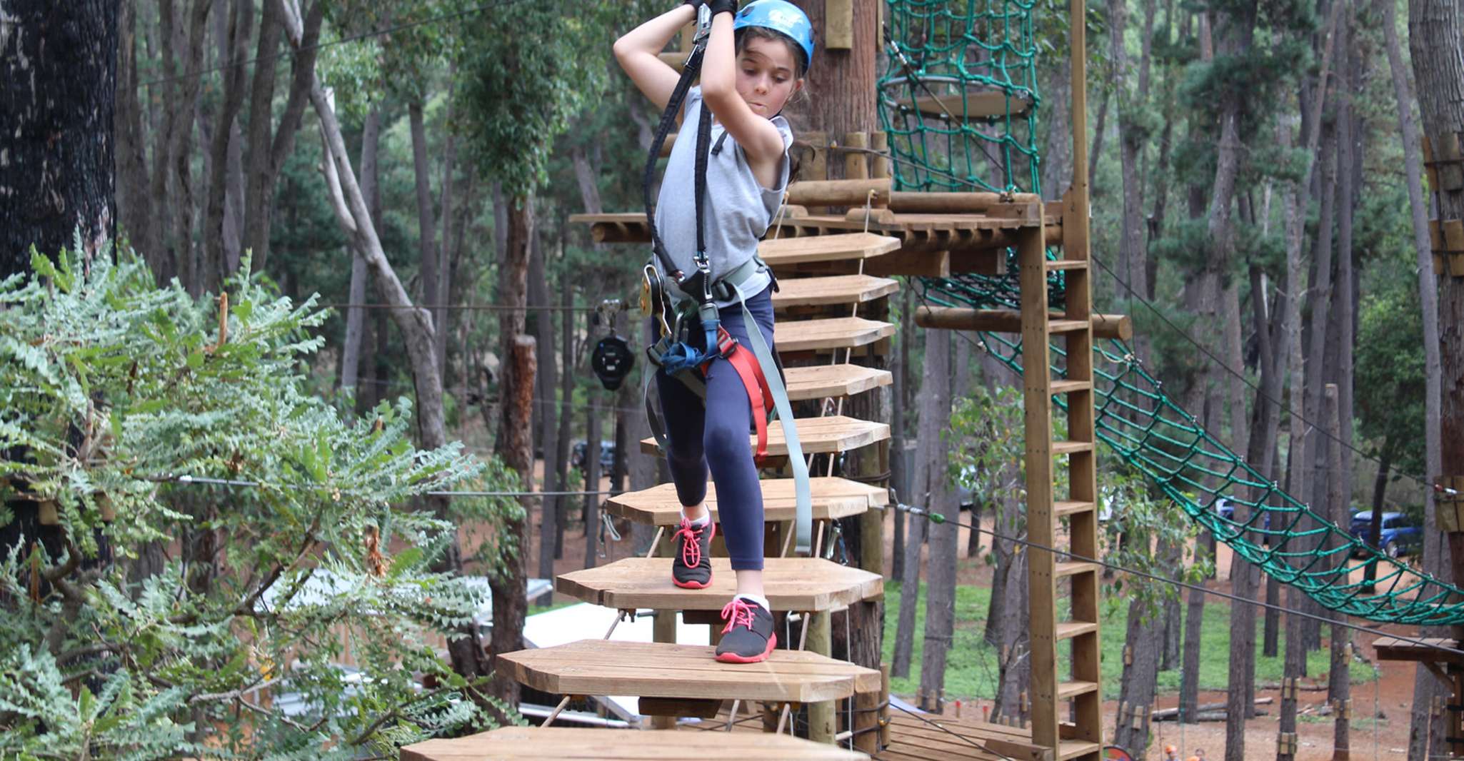 Dwellingup, Tree Ropes Course - Housity