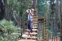 Abitazione, rotta delle corde degli alberi - Housity