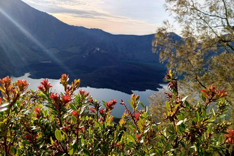 Trekking na górę Rinjani 2D/1N Krawędź krateru i szczyt