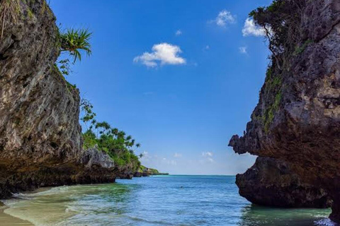 Zanzibar: Jozani Forest, Salaam Cave & Mtende Beach Tour Private Tour With Transfer But Entry Fees are not Included