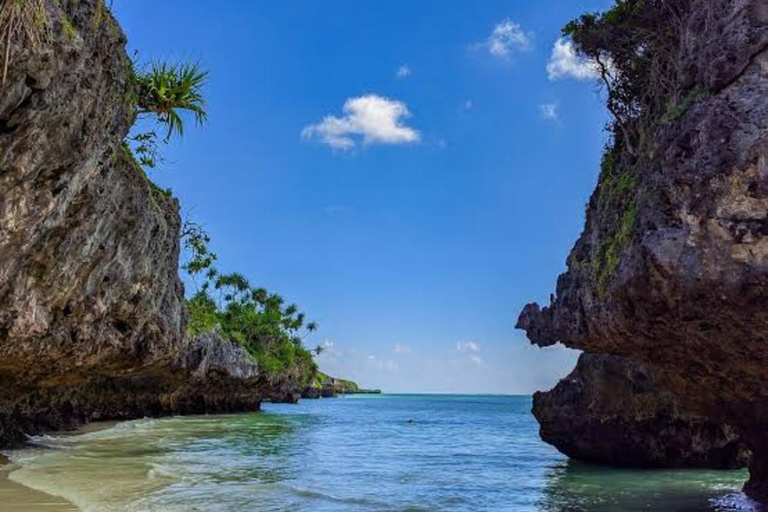Zanzibar: Jozani Forest, Salaam Cave & Mtende Beach Tour Private Tour With Transfer But Entry Fees are not Included