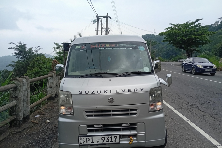 Kandy: Sigiriya or Pidurangala & Dambulla Day Tour by Van
