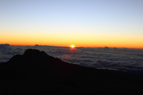 8 Días Ruta Lemosho Escalada al Kilimanjaro