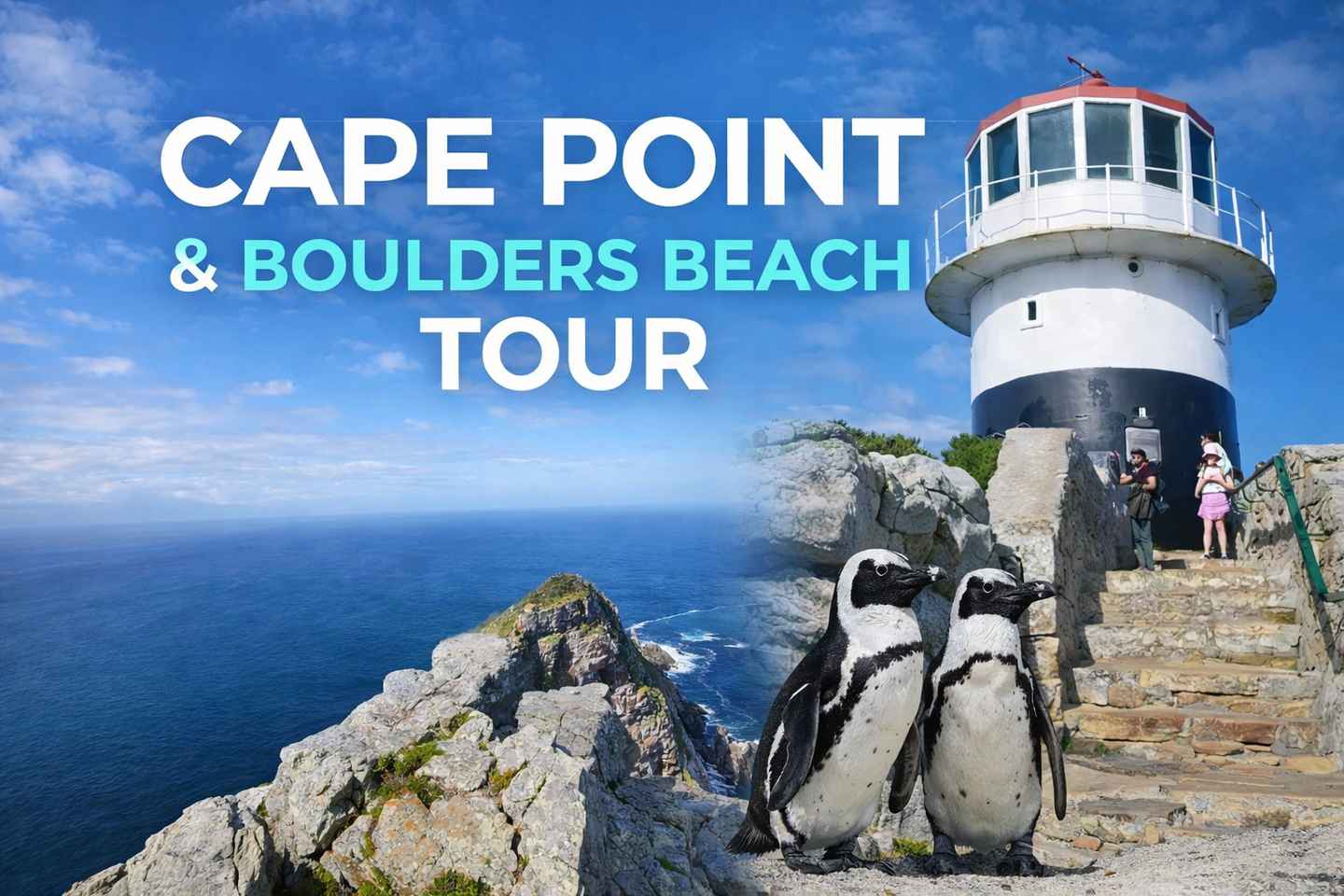 Cape Town: Cape Point & Boulders Beach Penguins Tour - penguins