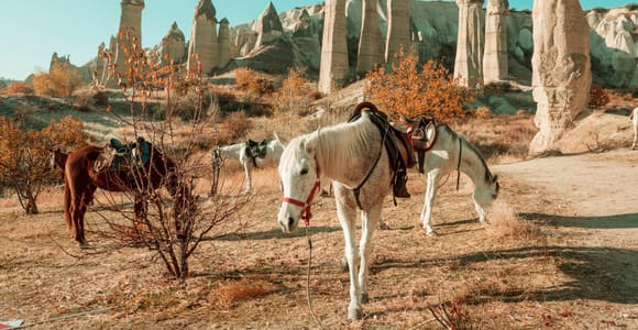 Istanbul - Kappadokien All Inclusive Private Day Tour