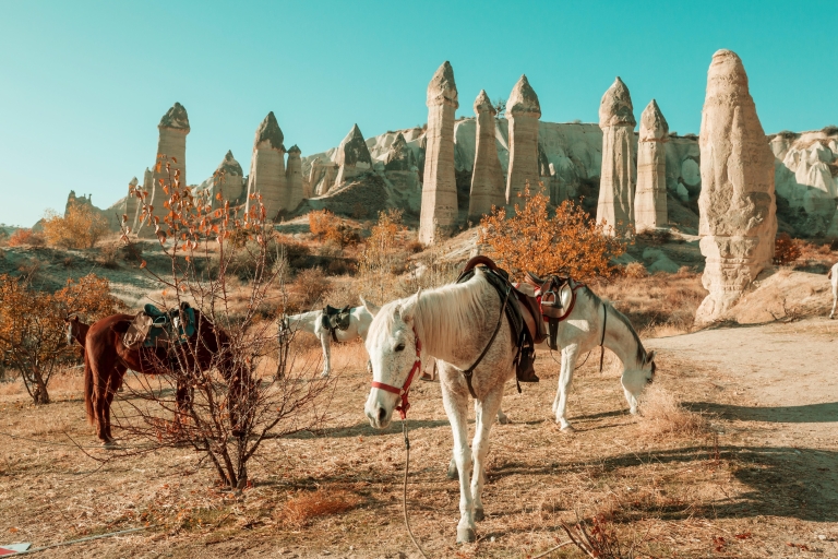 Au départ d'Istanbul : Excursion privée tout compris d'une journée en CappadoceExcursion privée d'une journée en Cappadoce au départ d'Istanbul