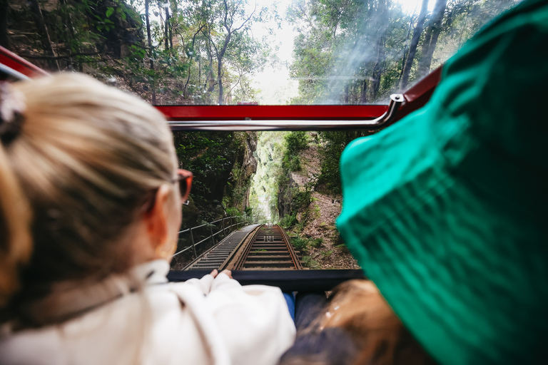 De Sydney: Blue Mountains, excursão panorâmica mundial com tudo incluído