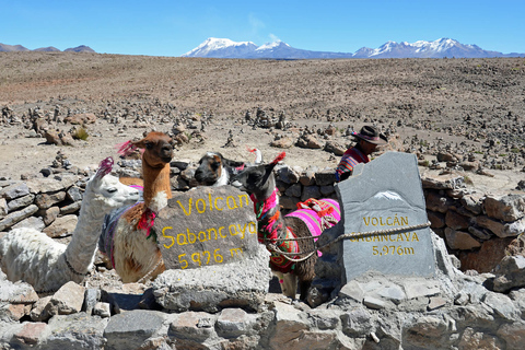 Vanuit Arequipa: 2-daagse Colca Canyon Tour naar Puno