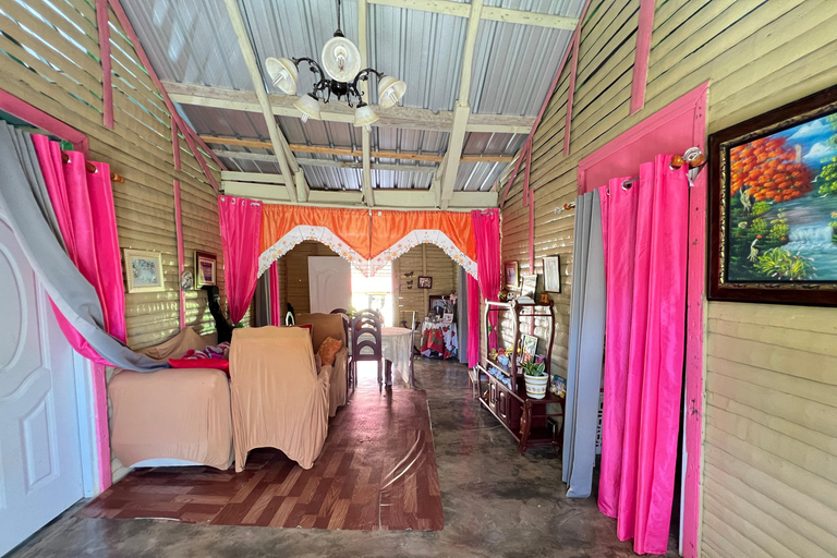 蓬塔卡纳：咖啡种植园、巧克力和甘蔗……