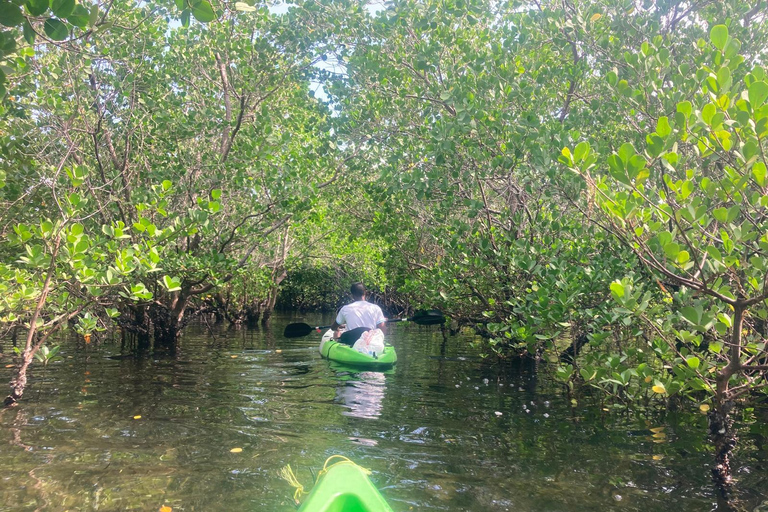 桑给巴尔：乌兹岛红树林皮划艇之旅，品尝热带水果私人导游服务（不含接送）