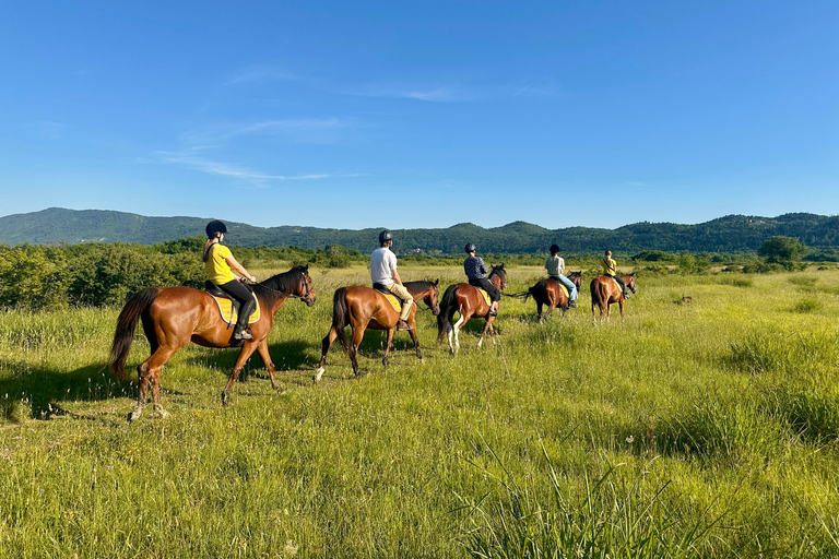 دوبروفنيك: ركوب الخيل عند غروب الشمس مع خدمة النقلSUNSET HORSEBACK RIDE NEAR DUBROVNIK WITHOUT TRANSPORT