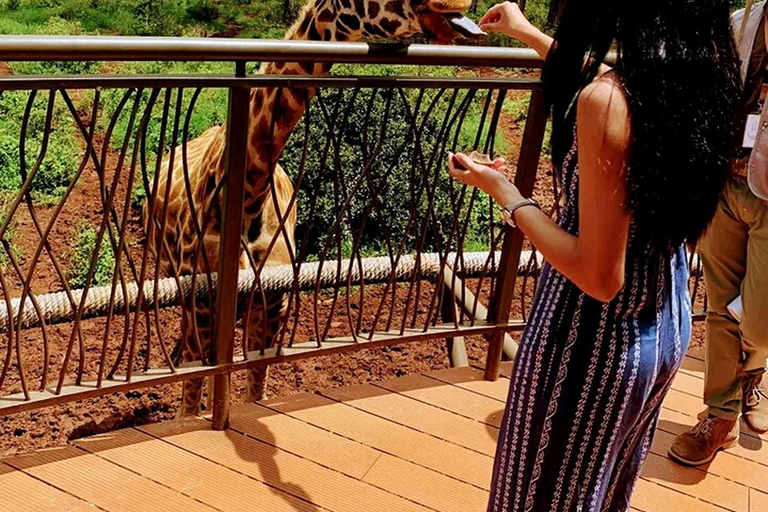 Nairobi: Guided Giraffes Centre & Karen Blixen Museum Tour. Nairobi: Karen Blixen Museum Guided Tour .