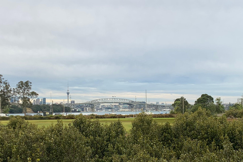 Auckland: Urban Rainforest Half-Day Small Group Walking Tour