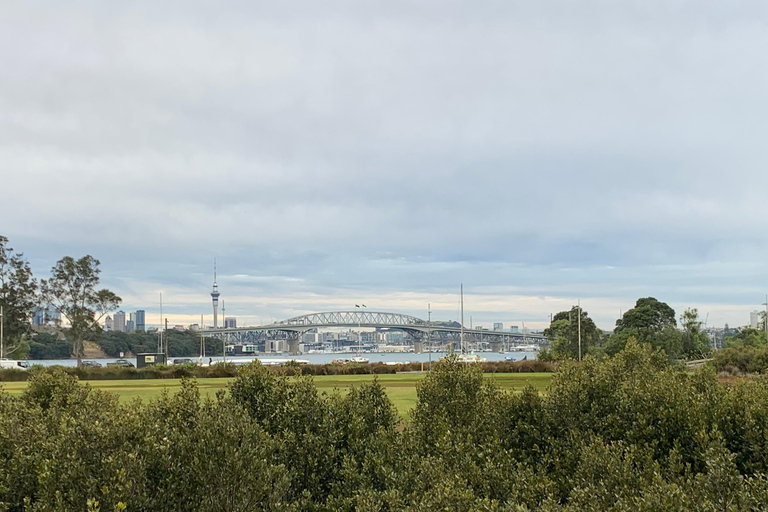 Auckland: Urban Rainforest Half-Day Small Group Walking Tour