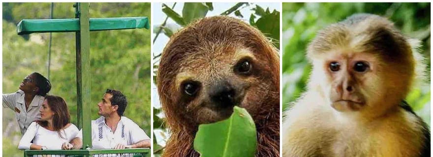 Panama : Buffet, tramway aérien, excursion en bateau à Gatun, sanctuaire des paresseux